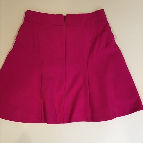Express Pink lined Skirt - Picture 3 of 7